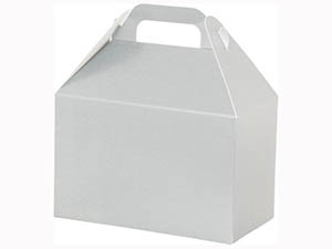 Gable Box: 8.5 x 5 x 5.5 - Silver | Item # 15030821-